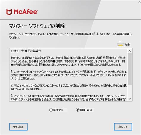 mcpr.exe 削除できない